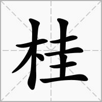 桂的造詞|桂的意思，桂字的意思